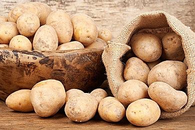 死搁+全境+圣歌？第三人称射击新作《Project LLL》预告